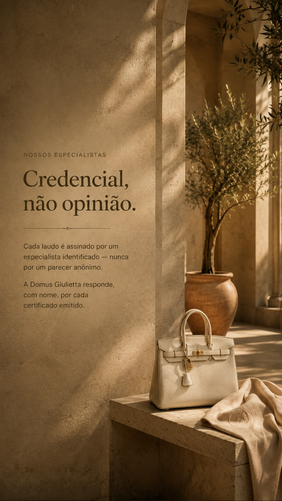 Credencial, não opinião: cada laudo Domus Giulietta é assinado por um especialista identificado